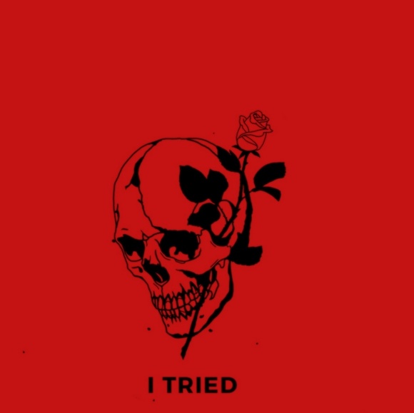 Meet your Posher, Gracie - Picture 1 of 1